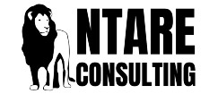 Ntare Consulting Dallas TX